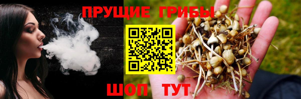 Богданович  Галлюциногенные грибы ЛСД  Вход с VPN 