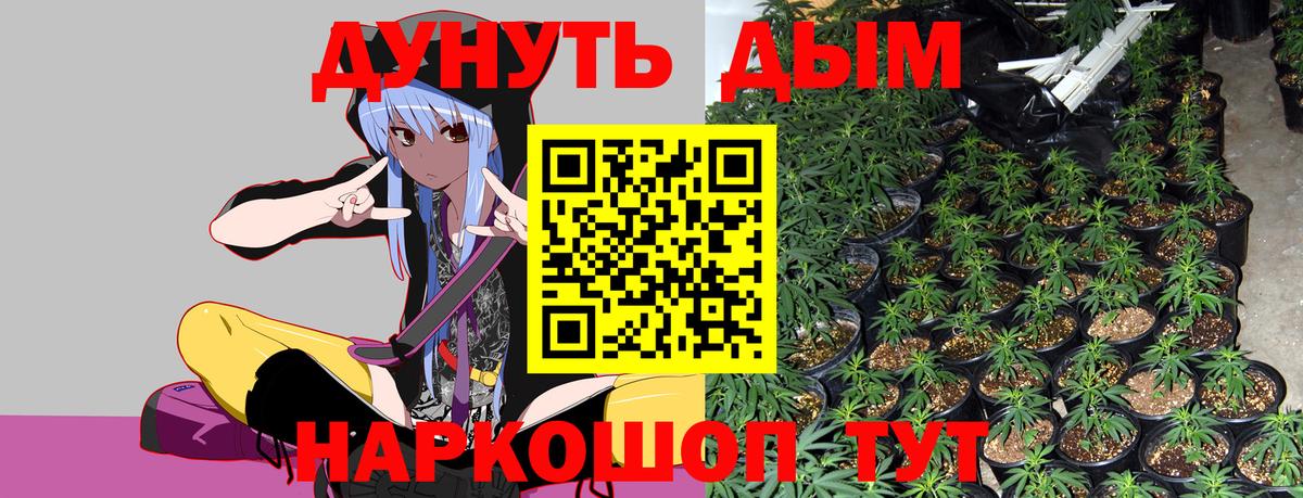 Марихуана гибрид  Бошки марихуана план  Богданович  Вход с VPN  Марихуана планчик 